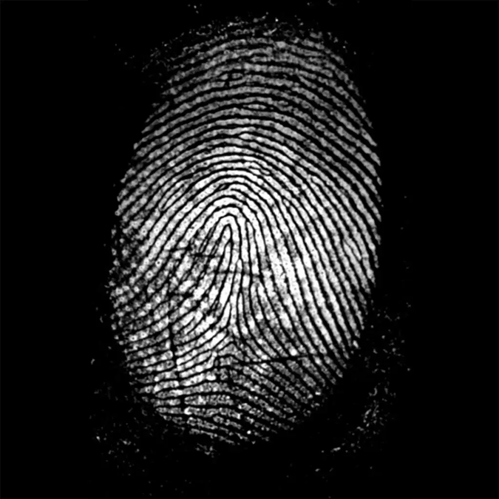 23M01211 VROUW vierkant