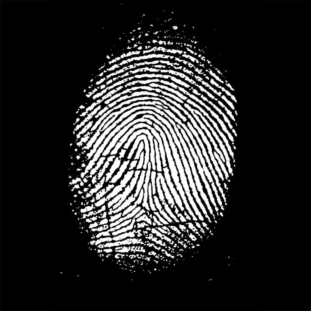 23M01211 VROUW zw vierkant