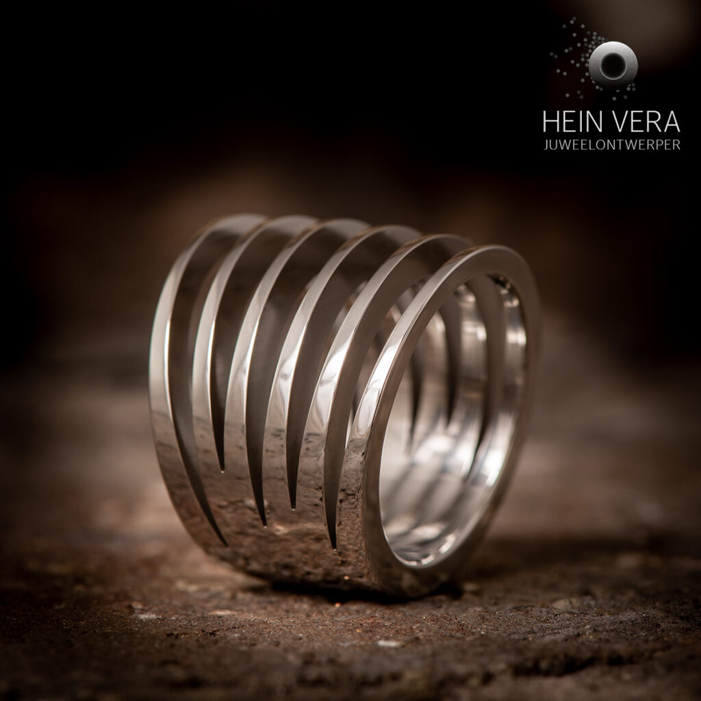 Ring in cobalt chrome_HeinVera